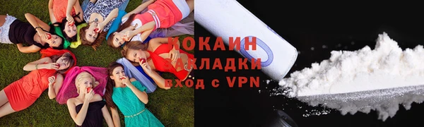 дживик Абаза