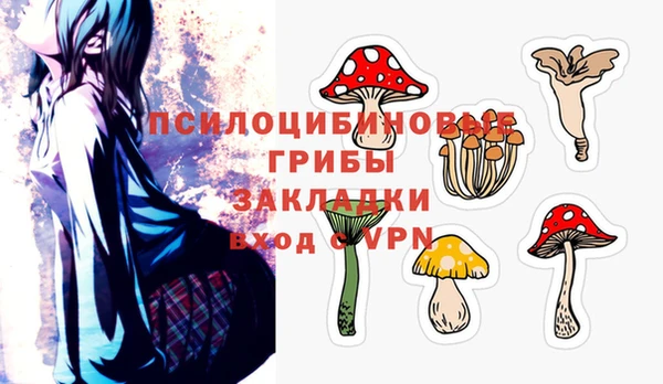 2c-b Ростов