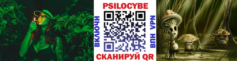 Псилоцибиновые грибы MAGIC MUSHROOMS  закладка  Урус-Мартан 
