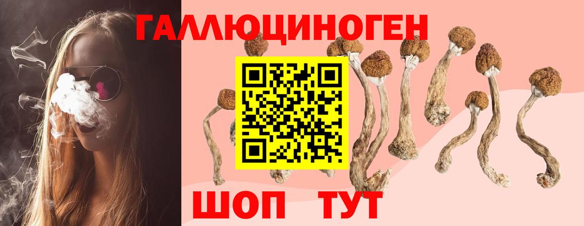 Урус-Мартан  Галлюциногенные грибы мухоморы  Вход с VPN 